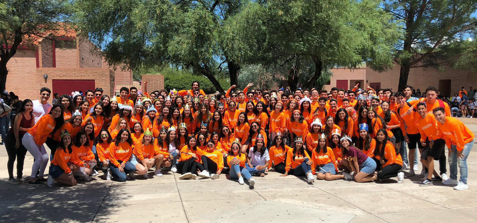 NHS seniors 2020